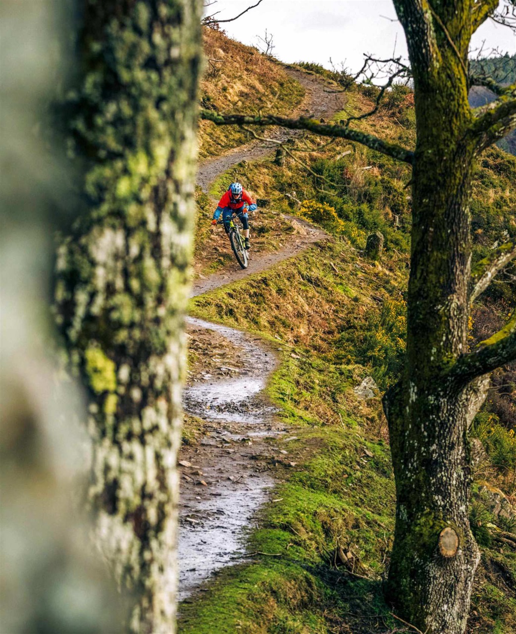 Mountain Biking UK Preview Pages