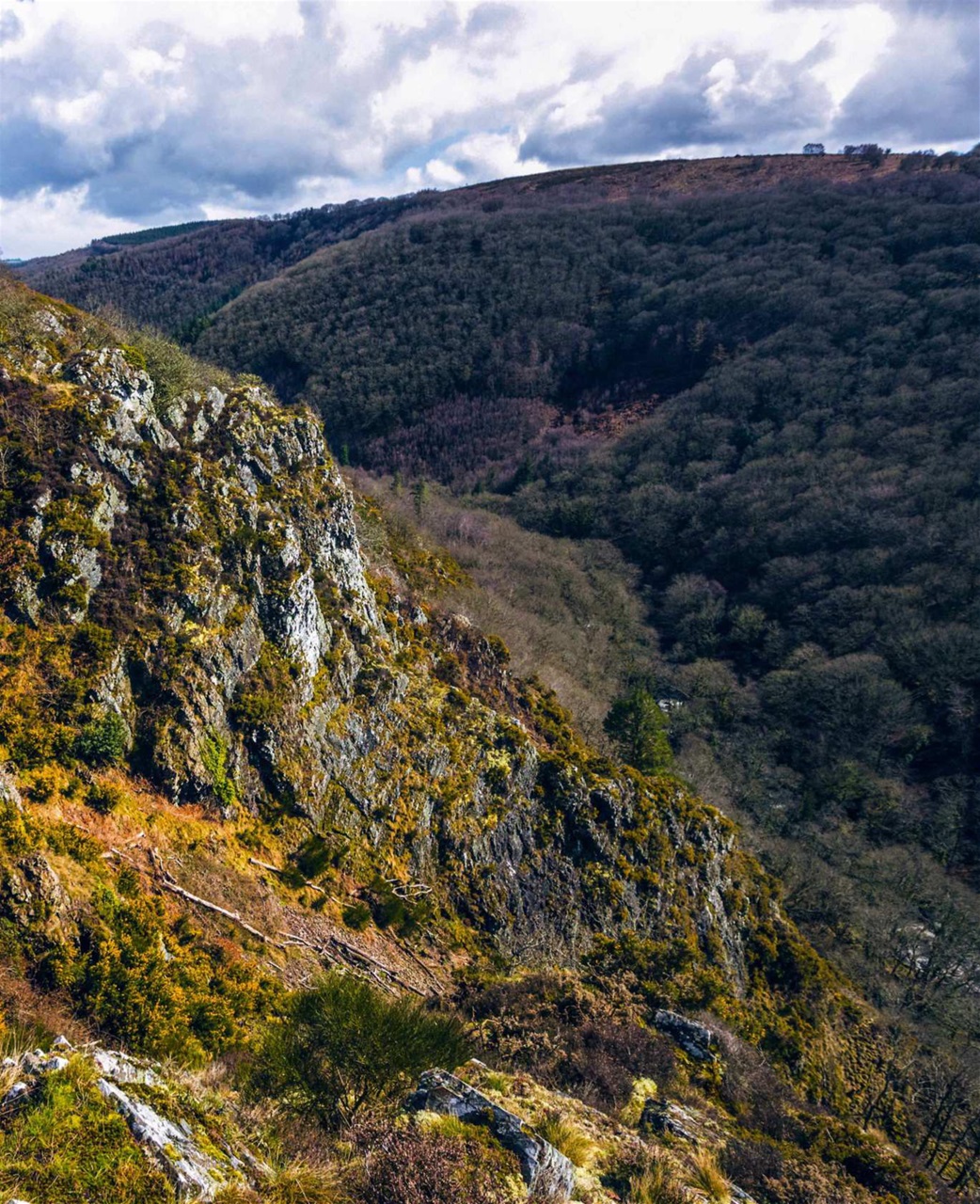 Mountain Biking UK Preview Pages