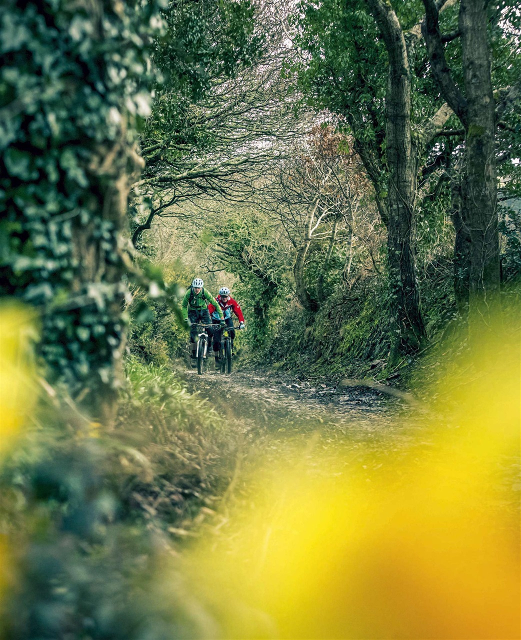 Mountain Biking UK Preview Pages