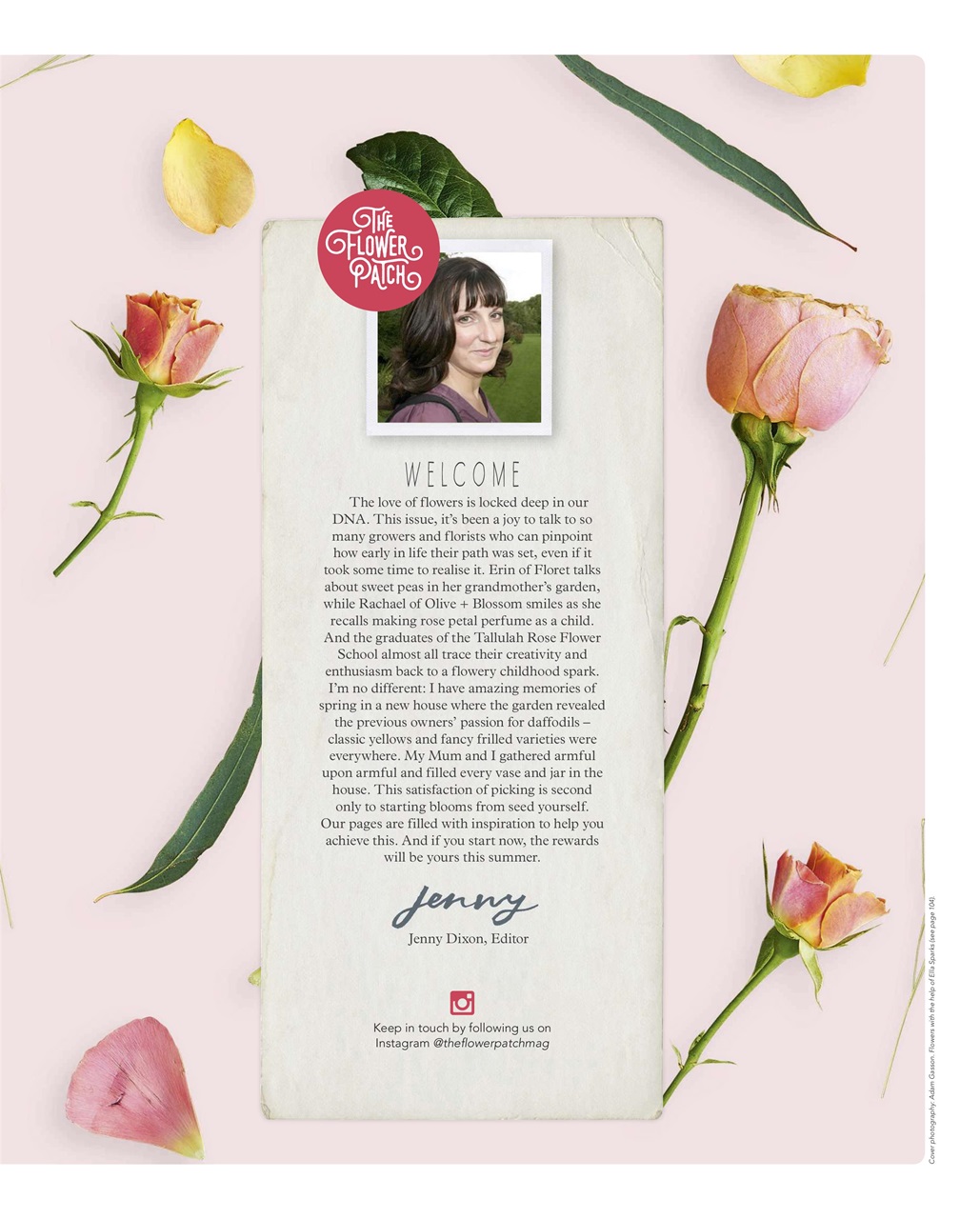 Mollie magazine Preview Pages