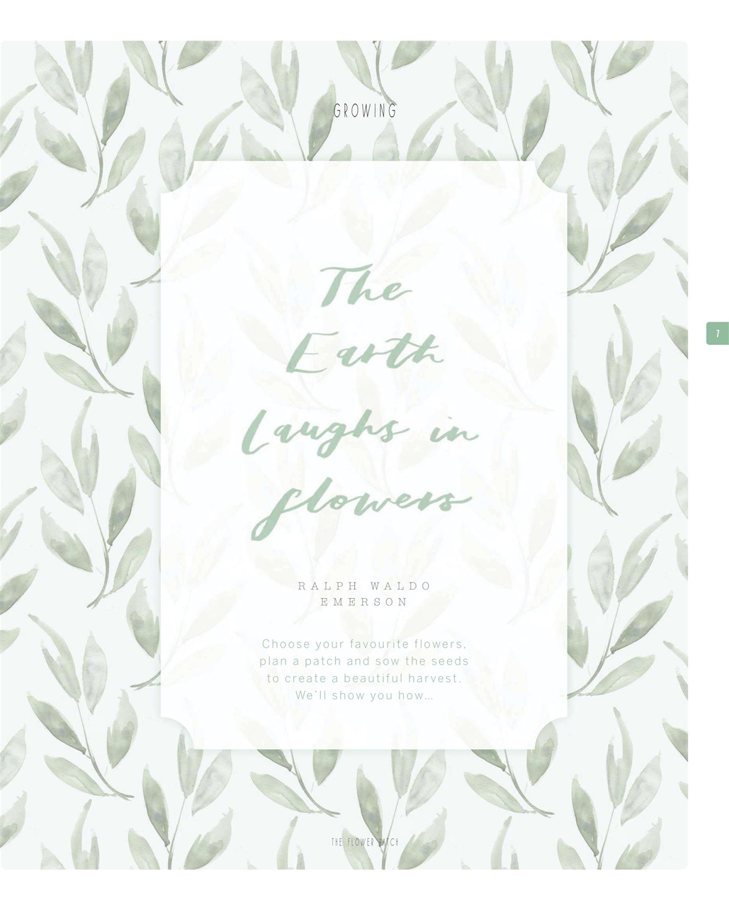 BBC Gardeners’ World Magazine Preview Pages