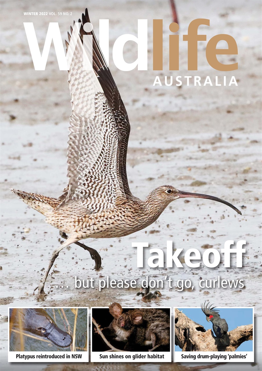 Wildlife Australia Preview Pages
