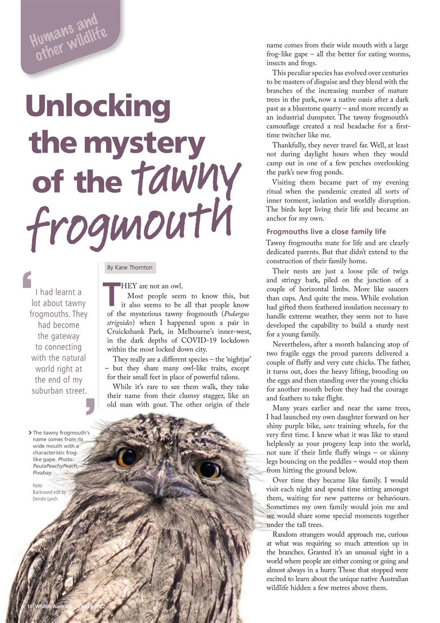 Wildlife Australia Preview Pages