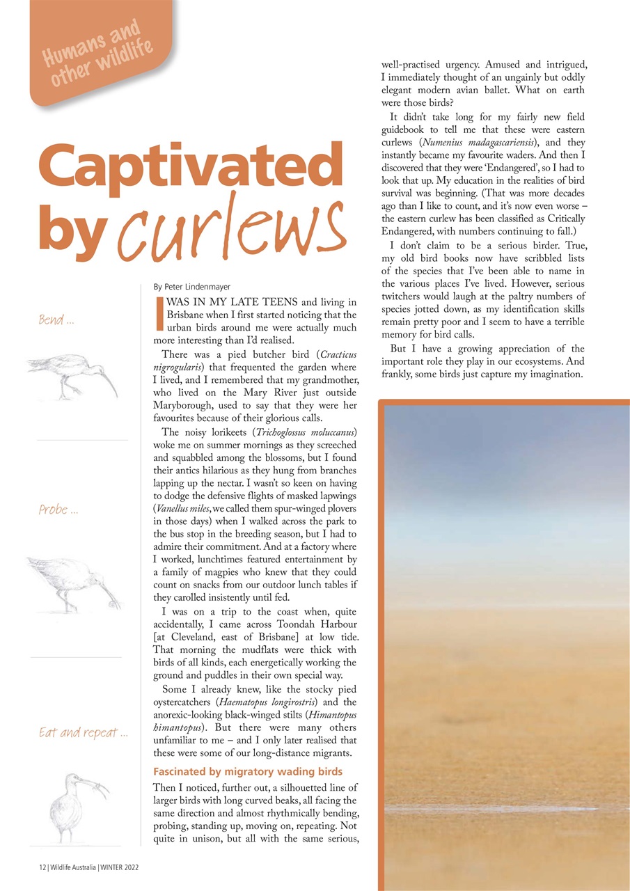 Wildlife Australia Preview Pages
