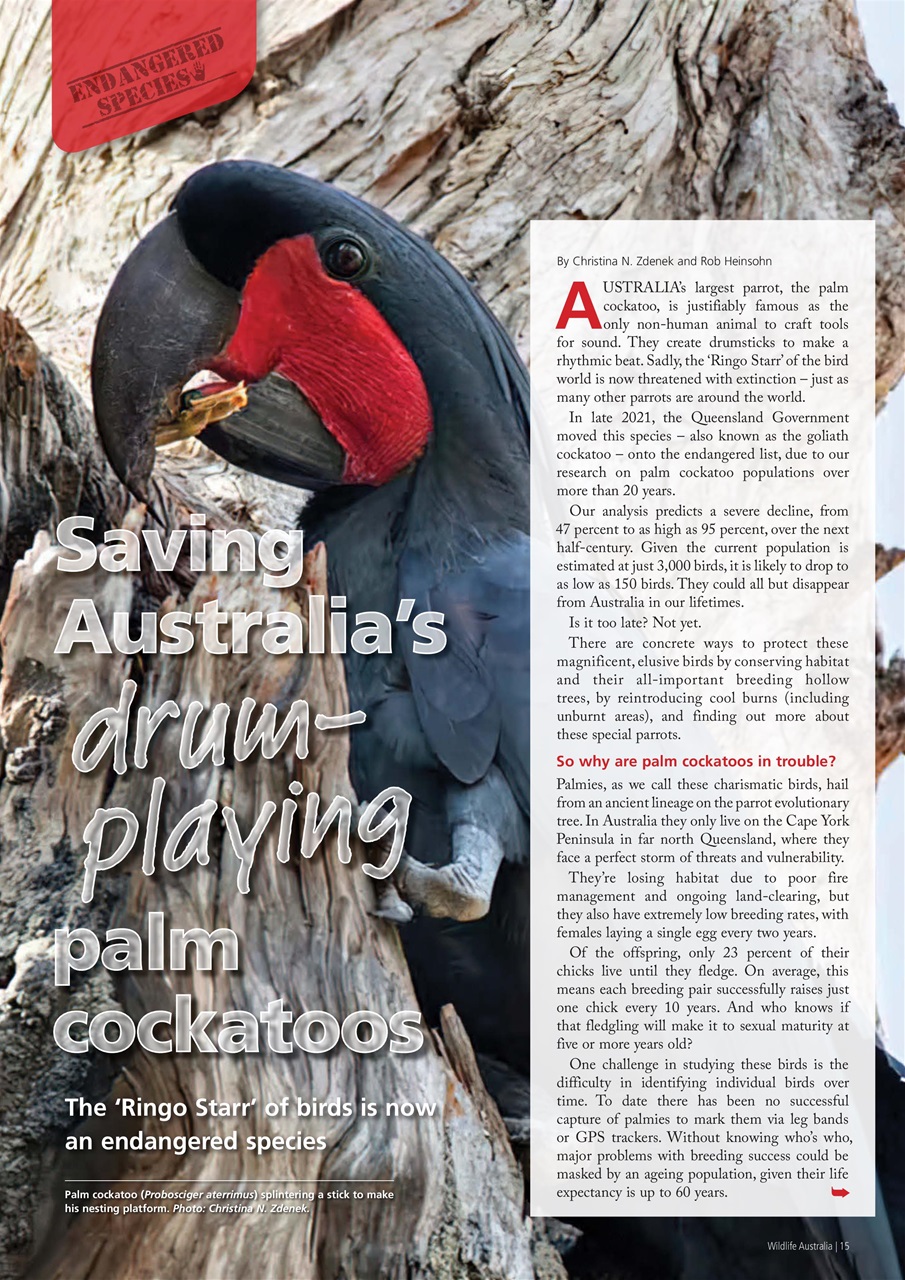 Wildlife Australia Preview Pages