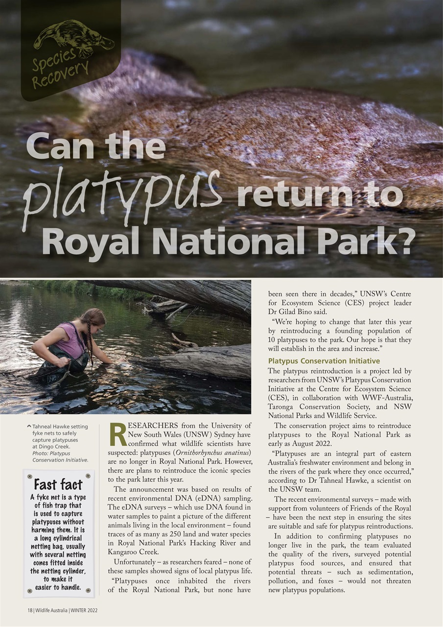 Wildlife Australia Preview Pages