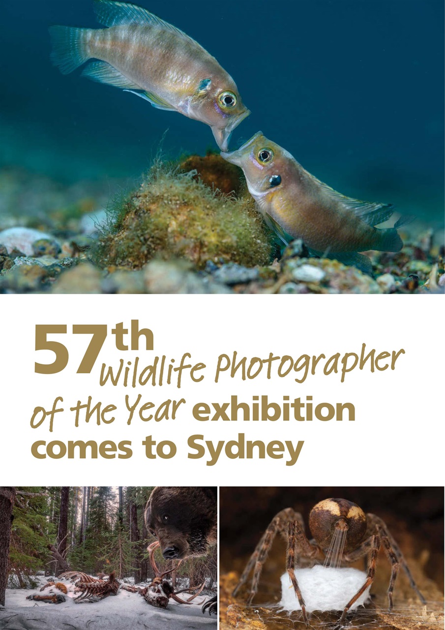 Wildlife Australia Preview Pages