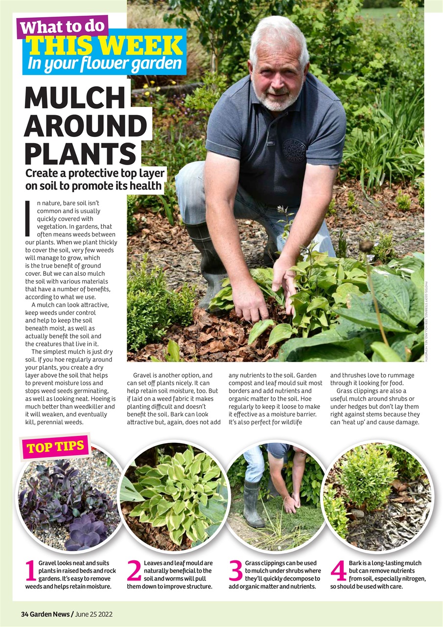 Garden News Preview Pages