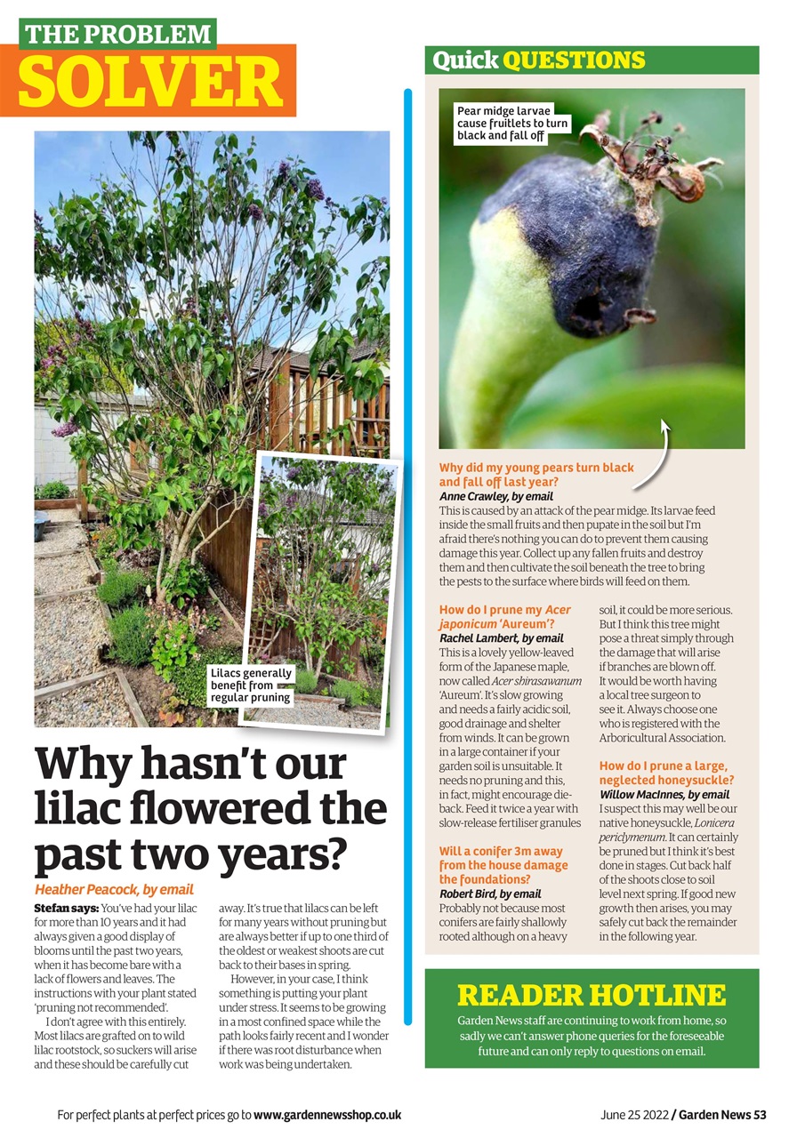 Garden News Preview Pages