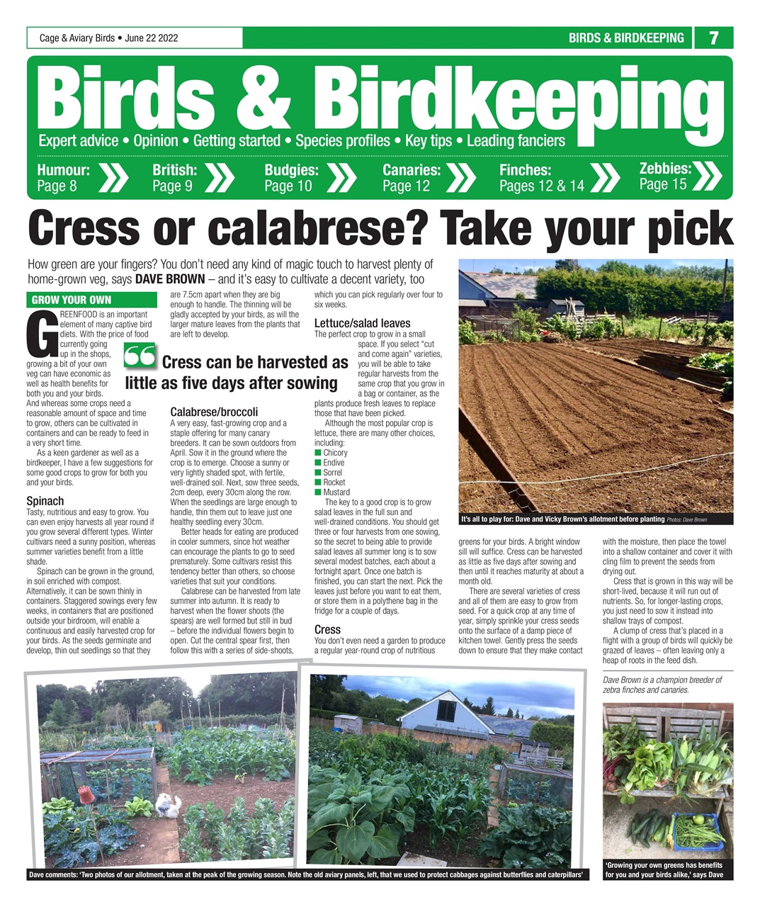 Cage & Aviary Birds Preview Pages