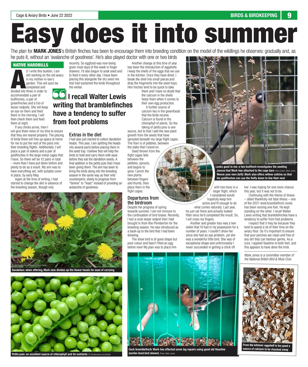 Cage & Aviary Birds Preview Pages