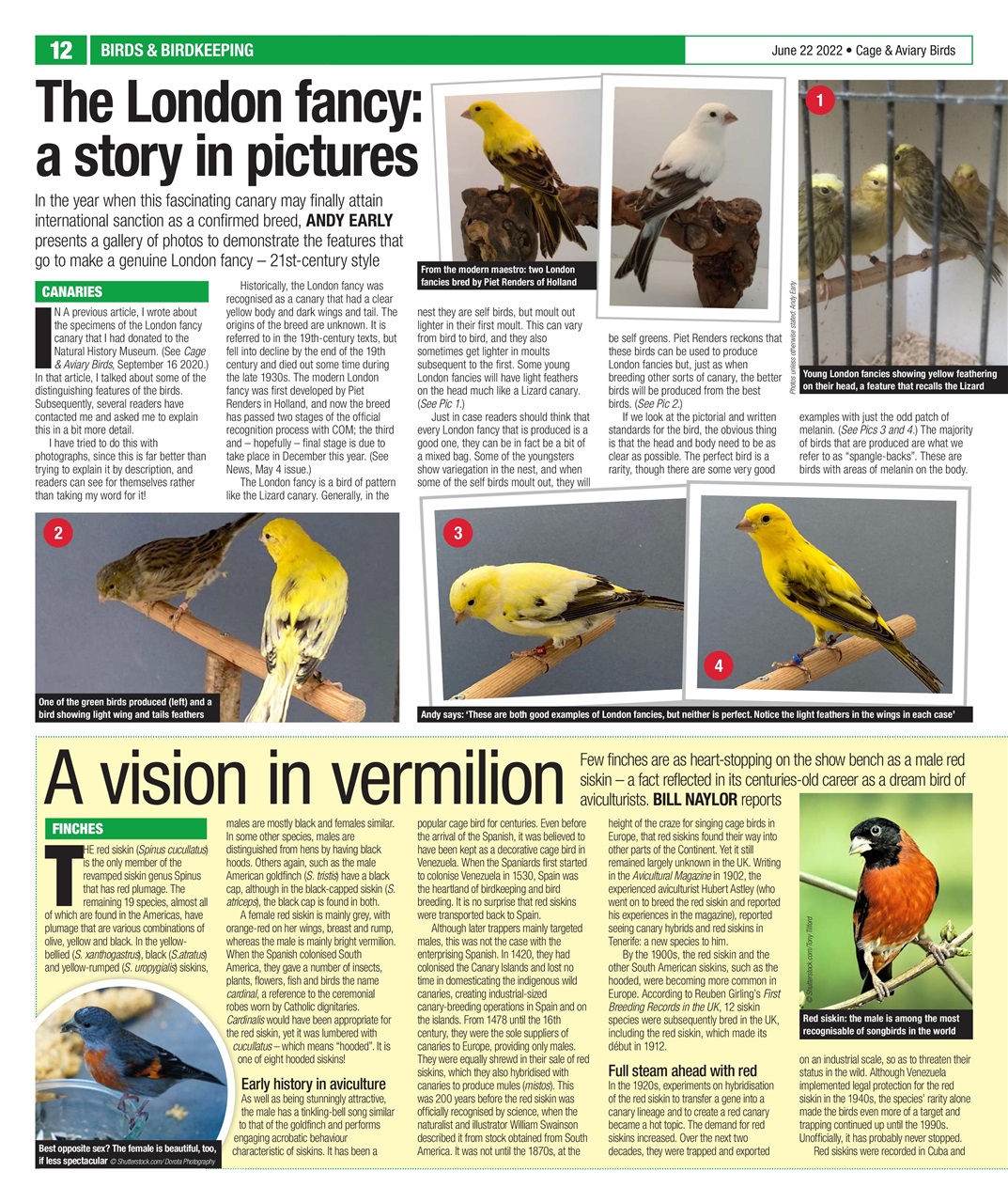 Cage & Aviary Birds Preview Pages