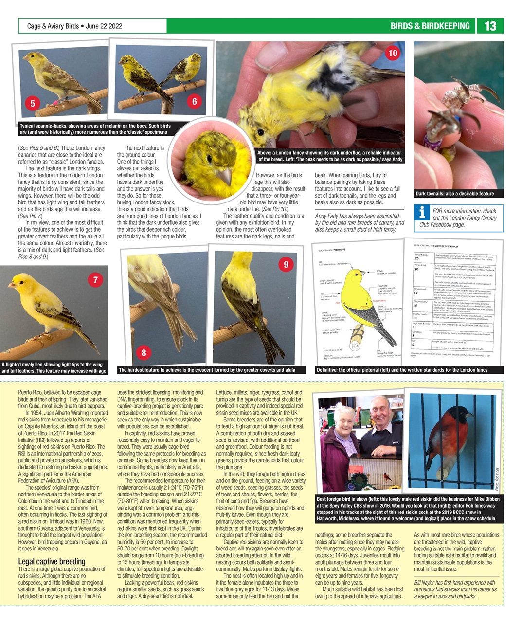 Cage & Aviary Birds Preview Pages