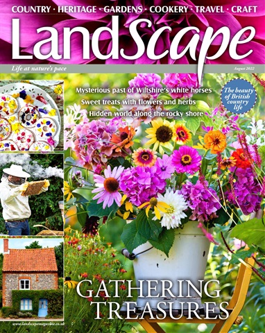 LandScape issue Aug-22