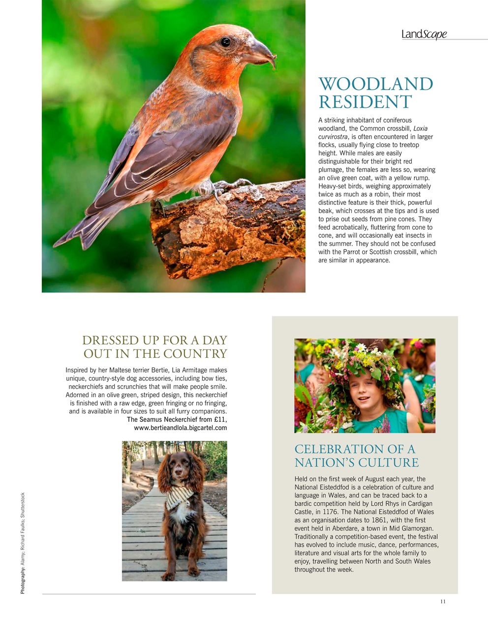 LandScape Preview Pages