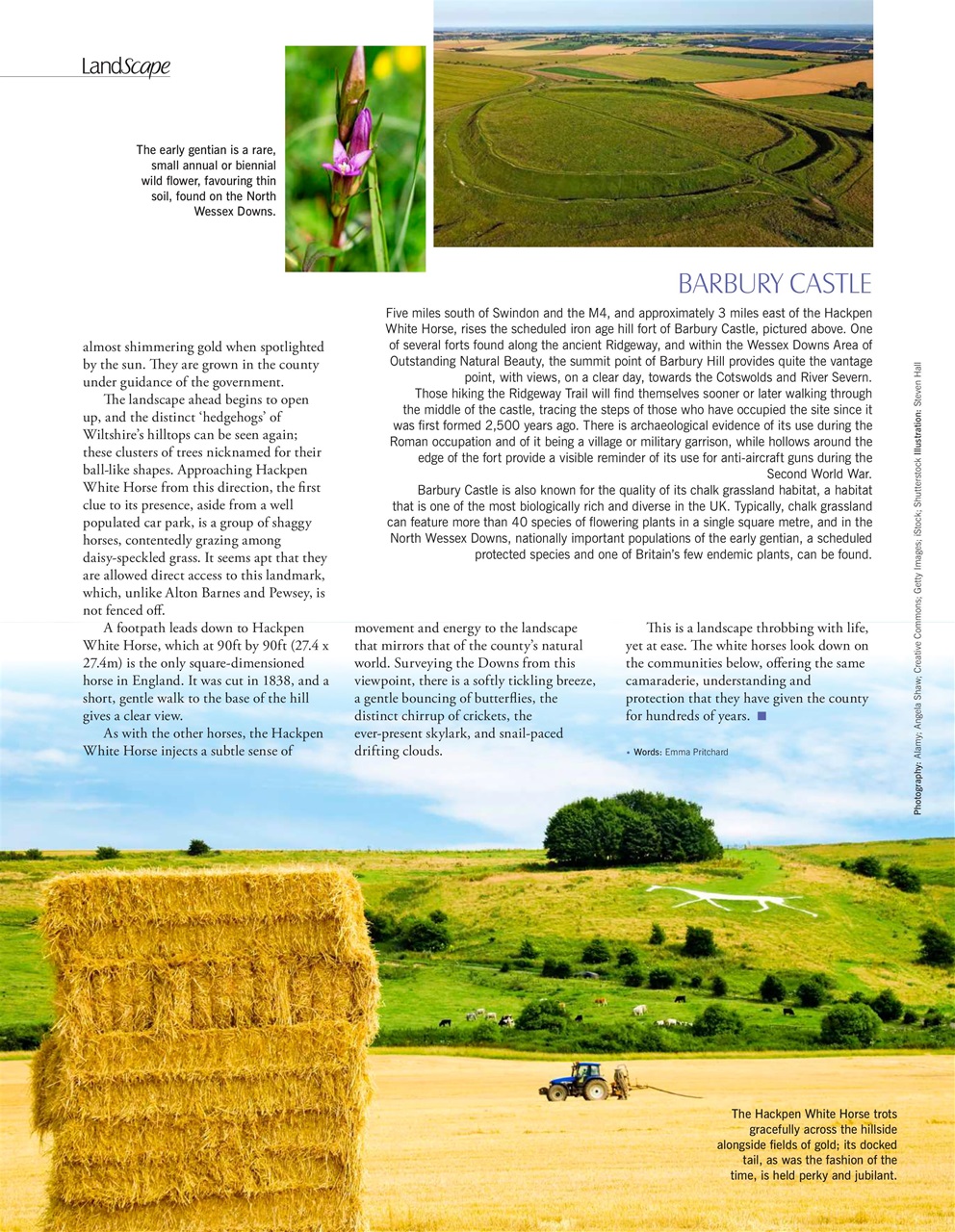 LandScape Preview Pages