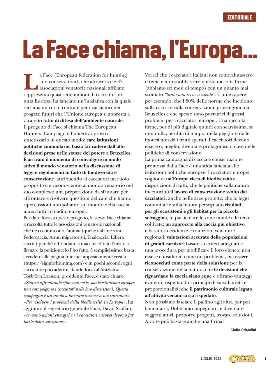 Caccia Magazine Preview Pages