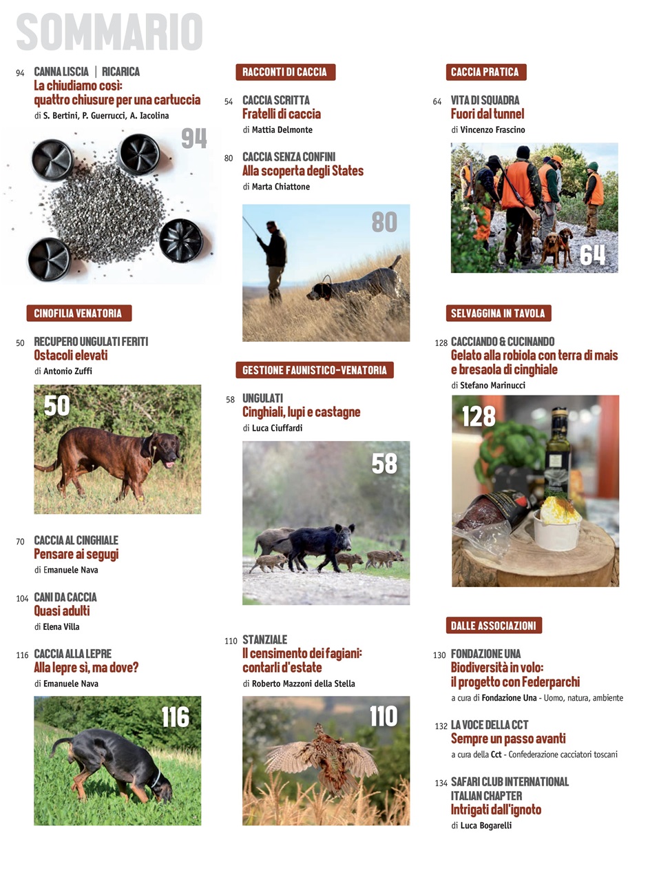 Caccia Magazine Preview Pages