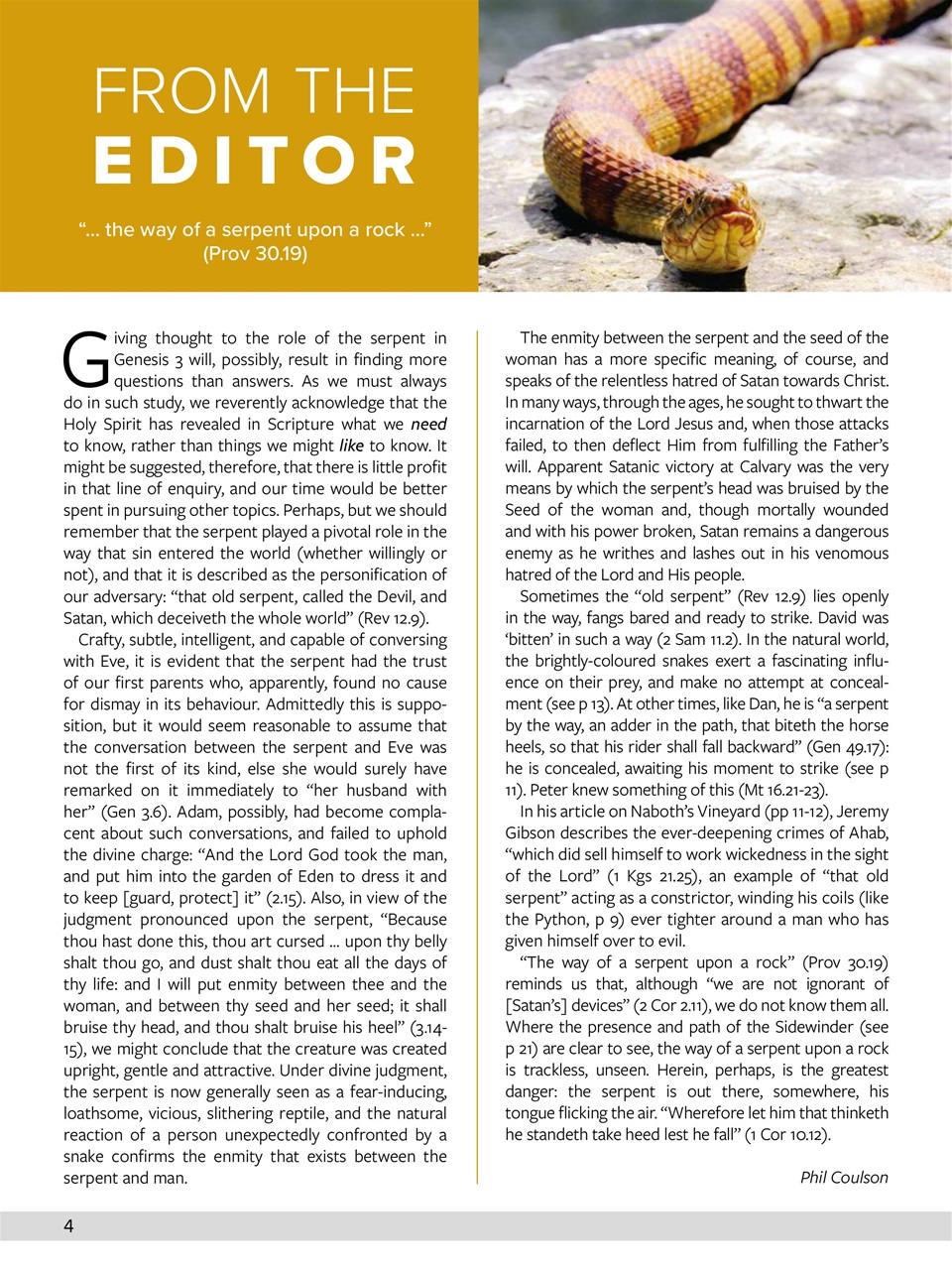 Believer Magazine Preview Pages