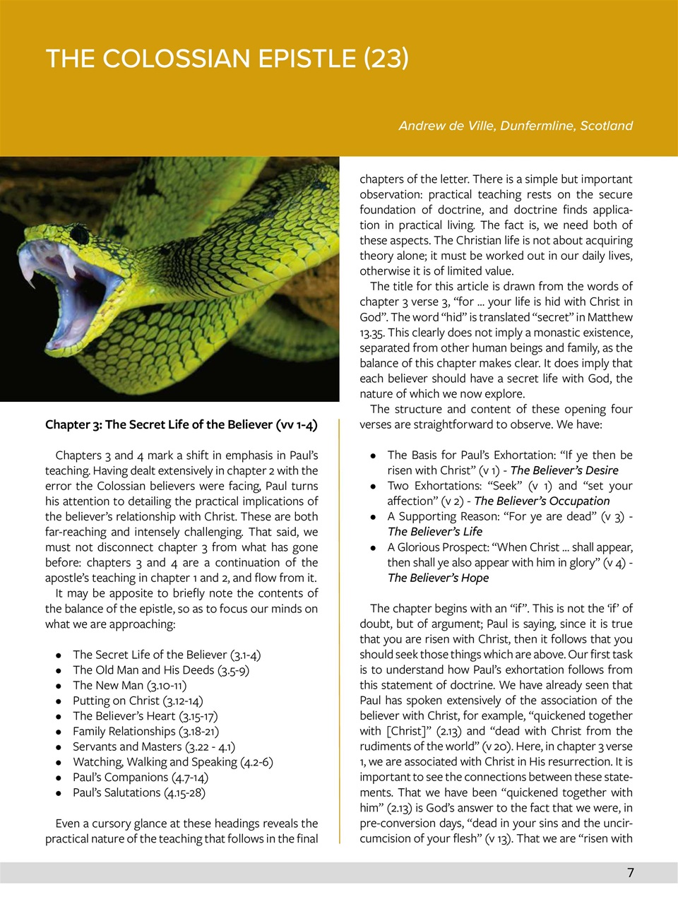 Believer Magazine Preview Pages