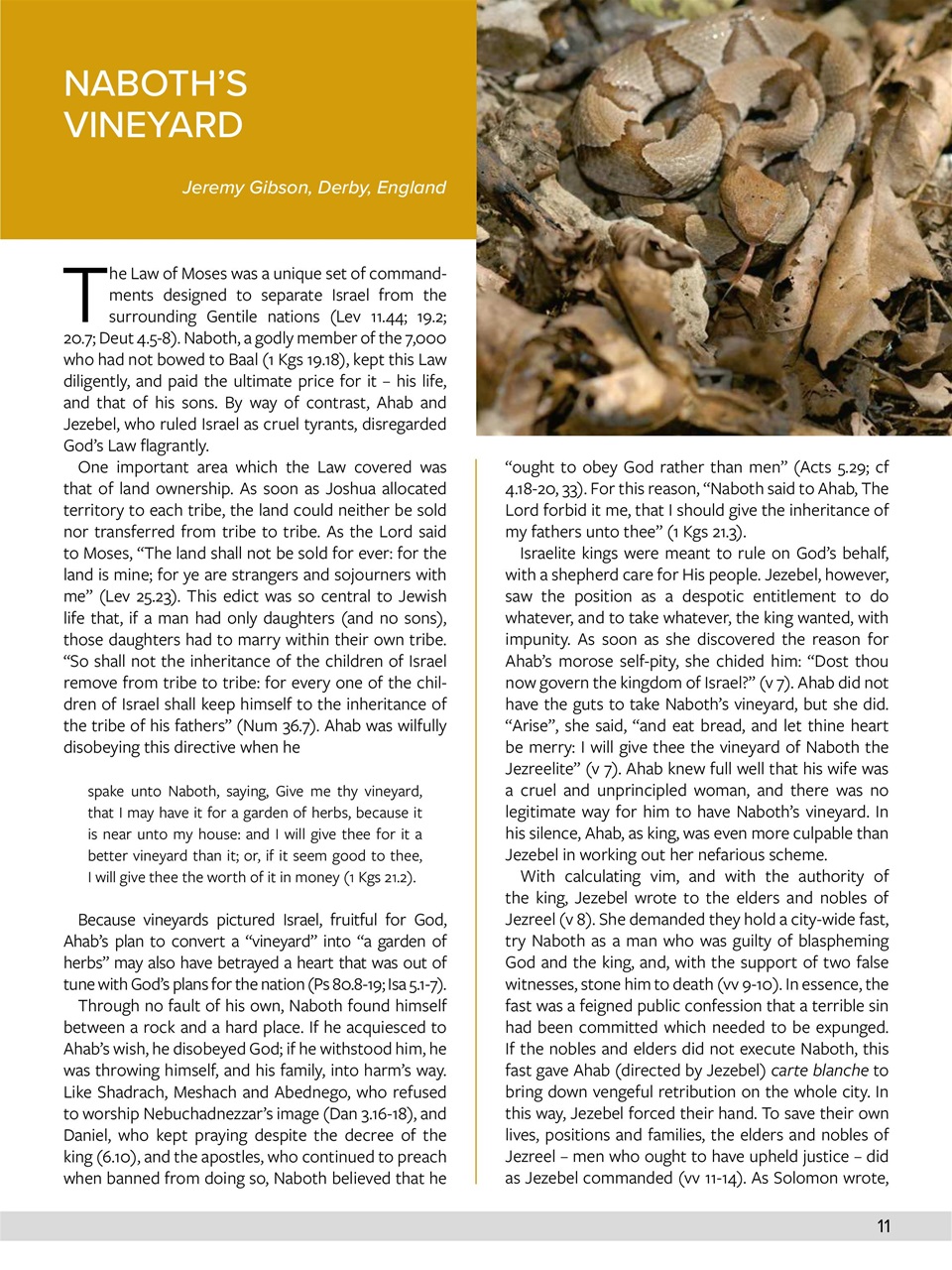 Believer Magazine Preview Pages