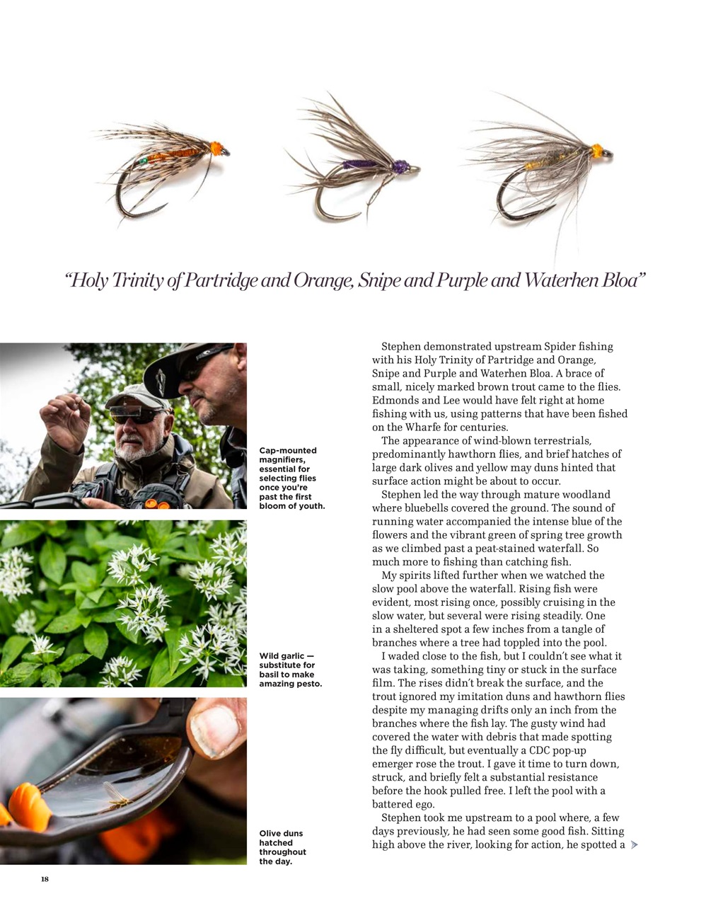 Trout & Salmon Preview Pages