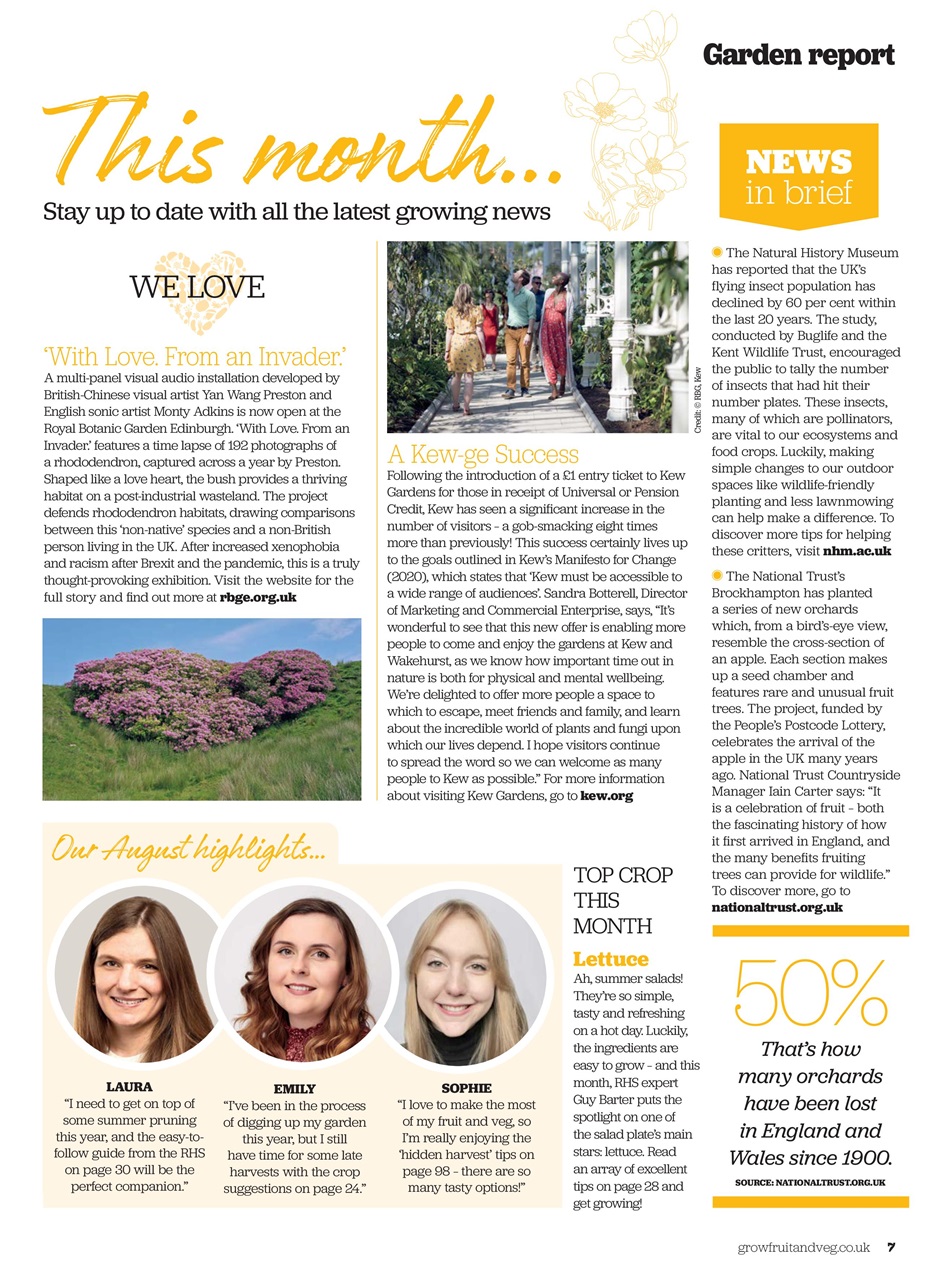 Grow Your Own Preview Pages