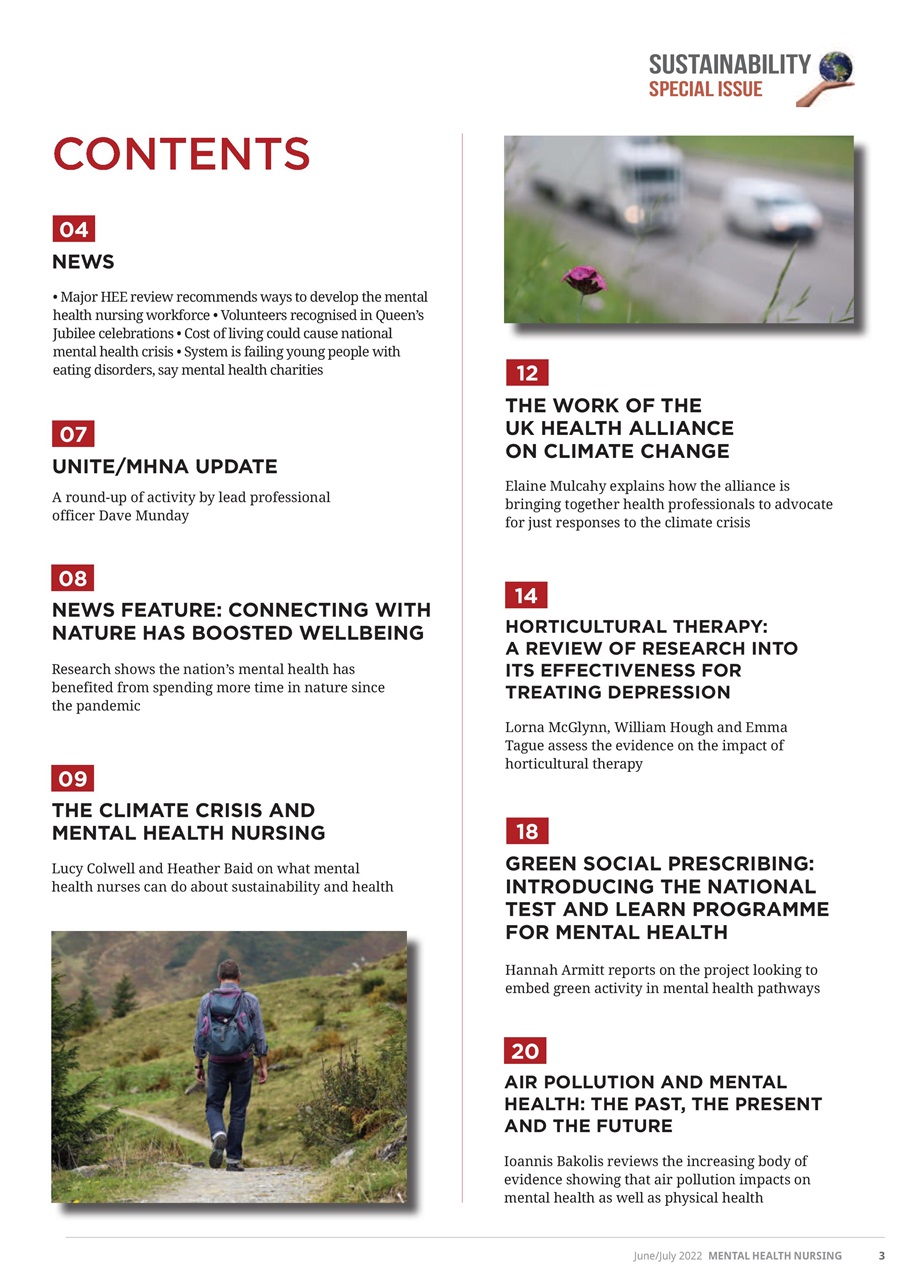 Mental Health Nursing Preview Pages