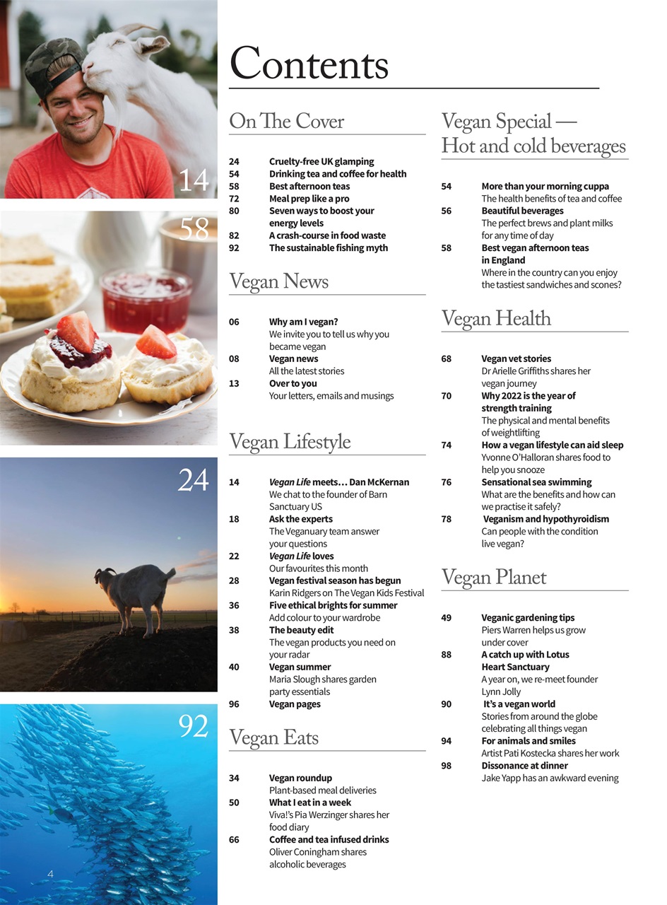 Vegan Life Preview Pages