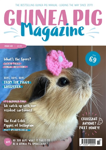 Guinea Pig Magazine issue Issue 69