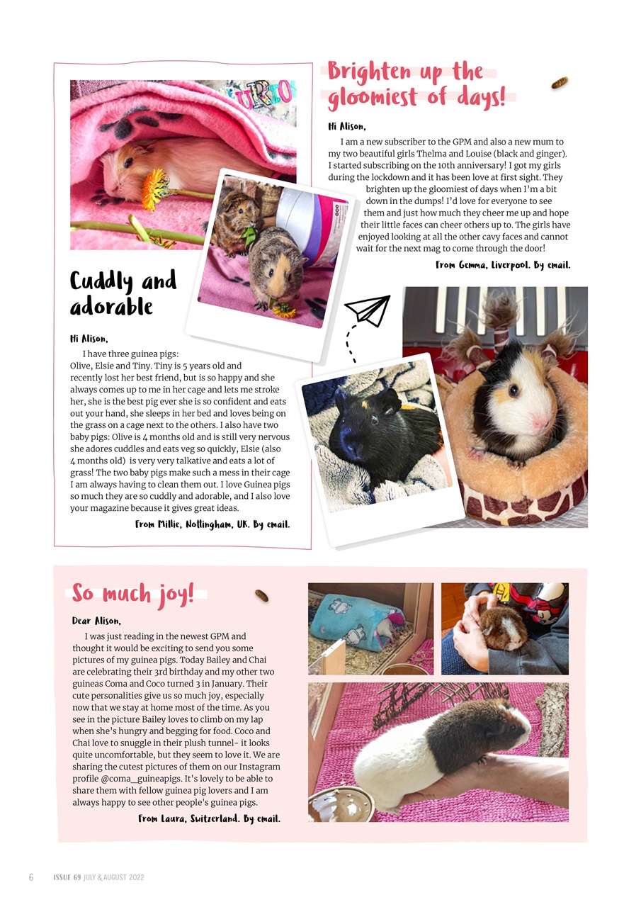 Guinea Pig Magazine Preview Pages