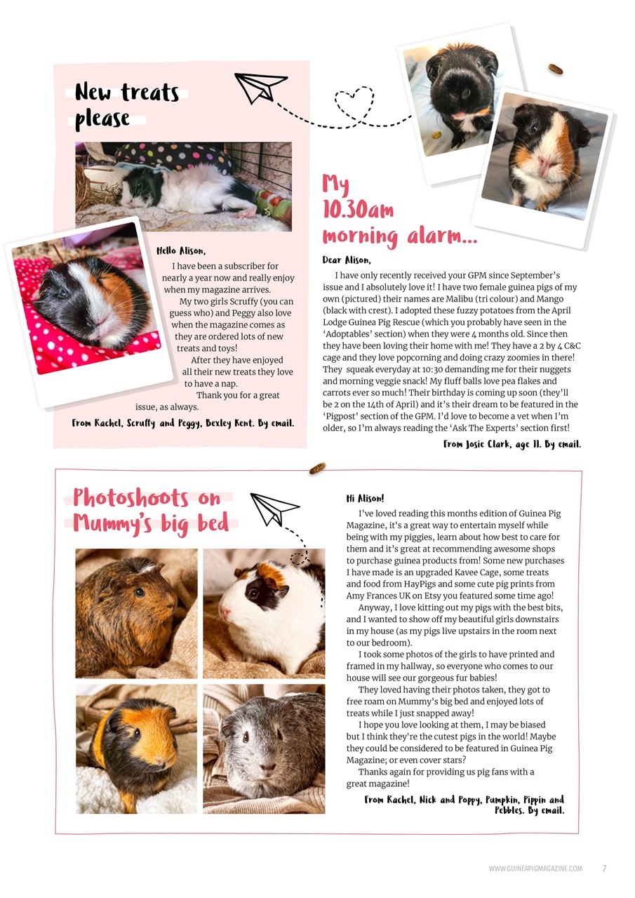 Guinea Pig Magazine Preview Pages