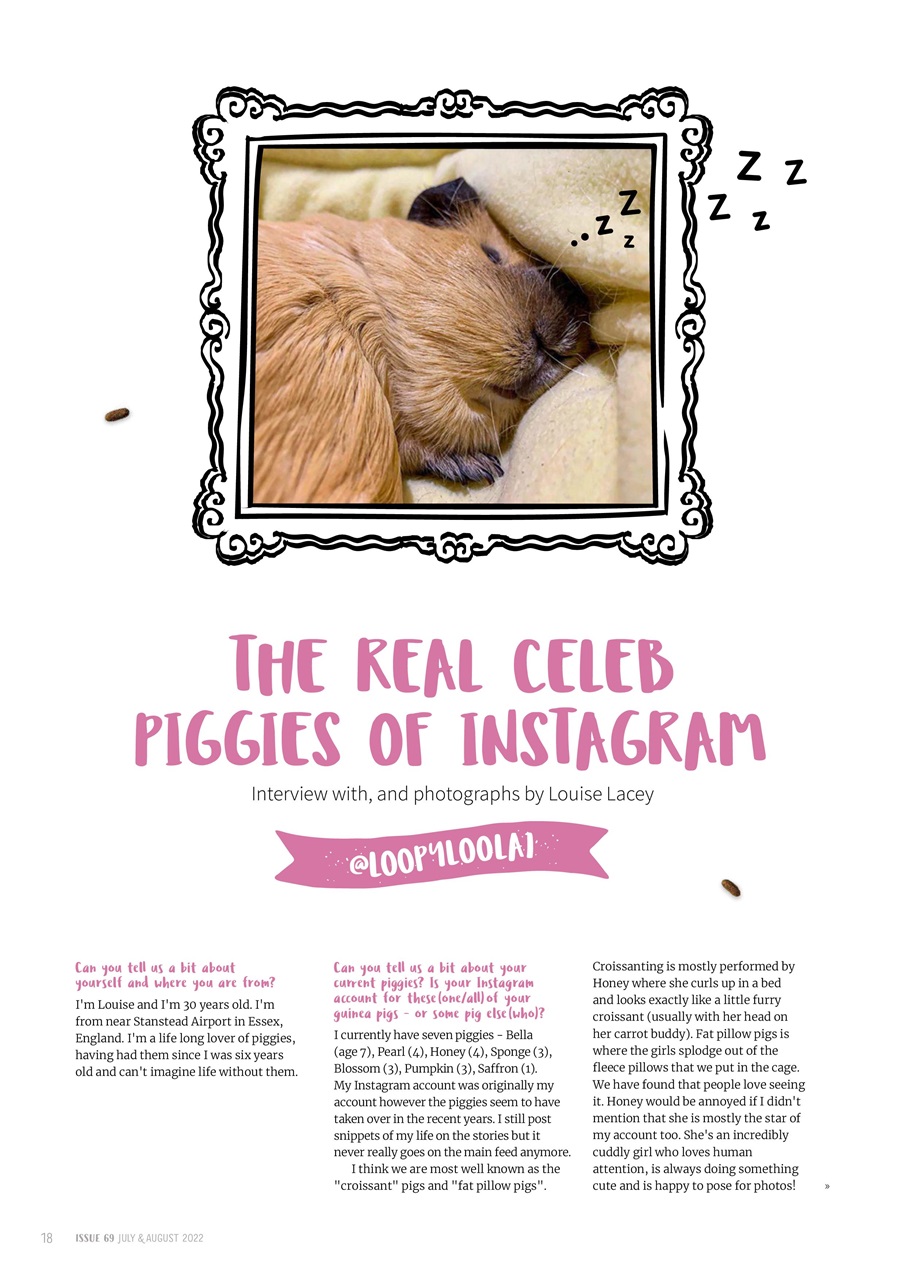 Guinea Pig Magazine Preview Pages