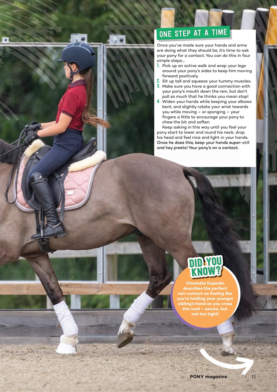 Pony Magazine Preview Pages