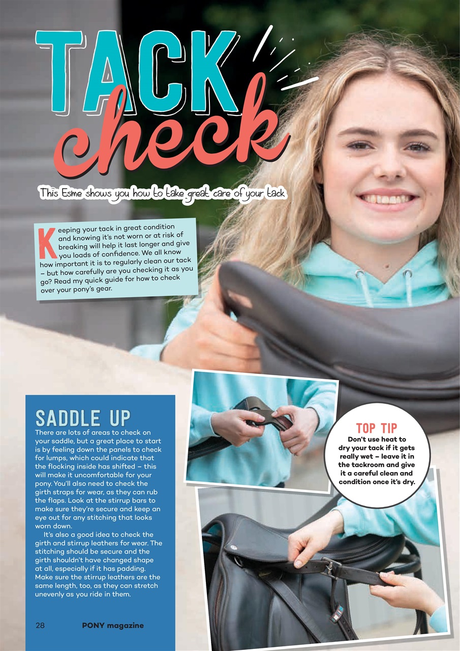 Pony Magazine Preview Pages