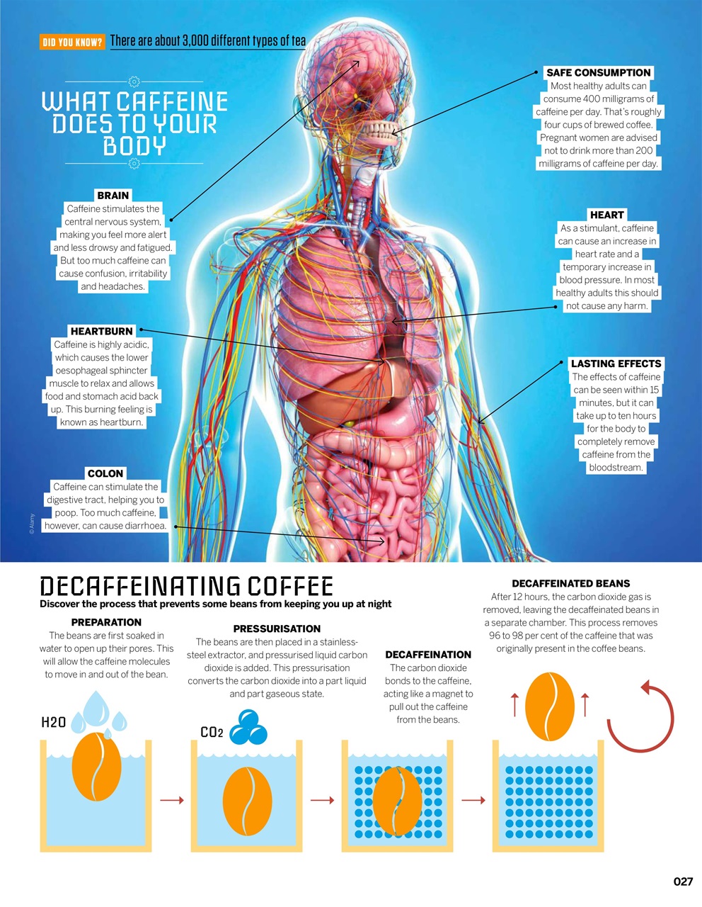 How It Works Bookazine Preview Pages