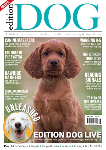 Edition Dog issue Edition Dog Issue 45