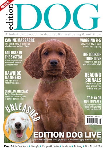 Edition Dog issue 