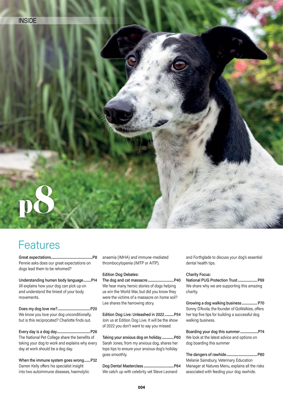 Edition Dog Preview Pages