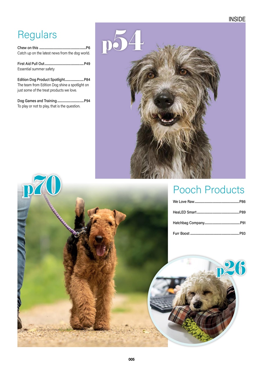 Edition Dog Preview Pages