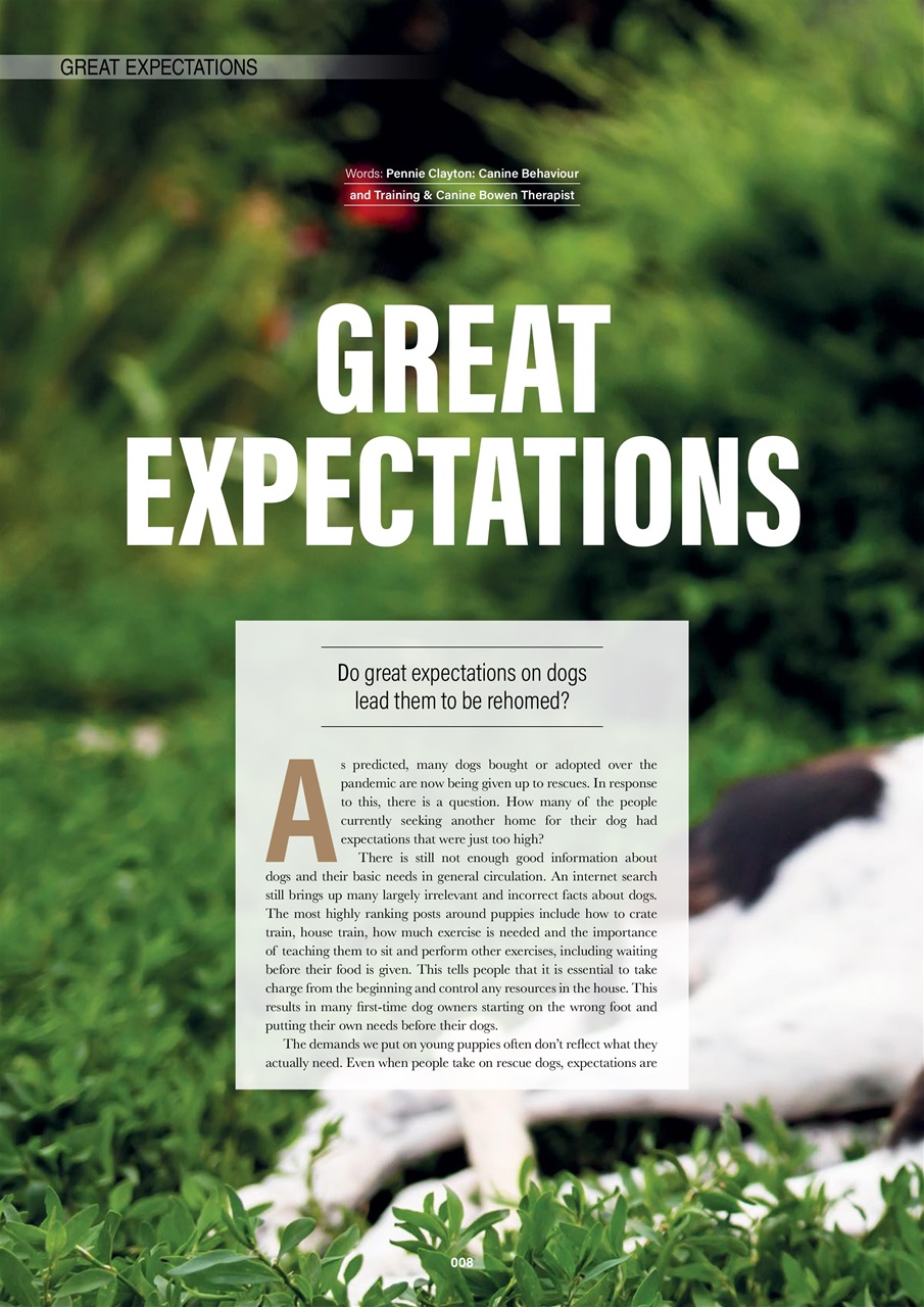 Edition Dog Preview Pages