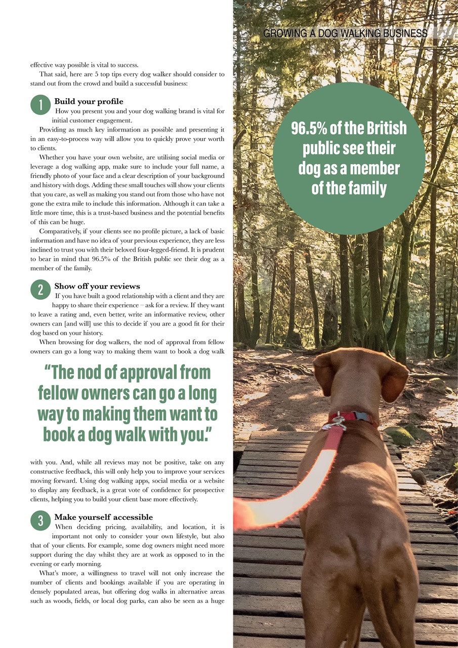 Edition Dog Preview Pages