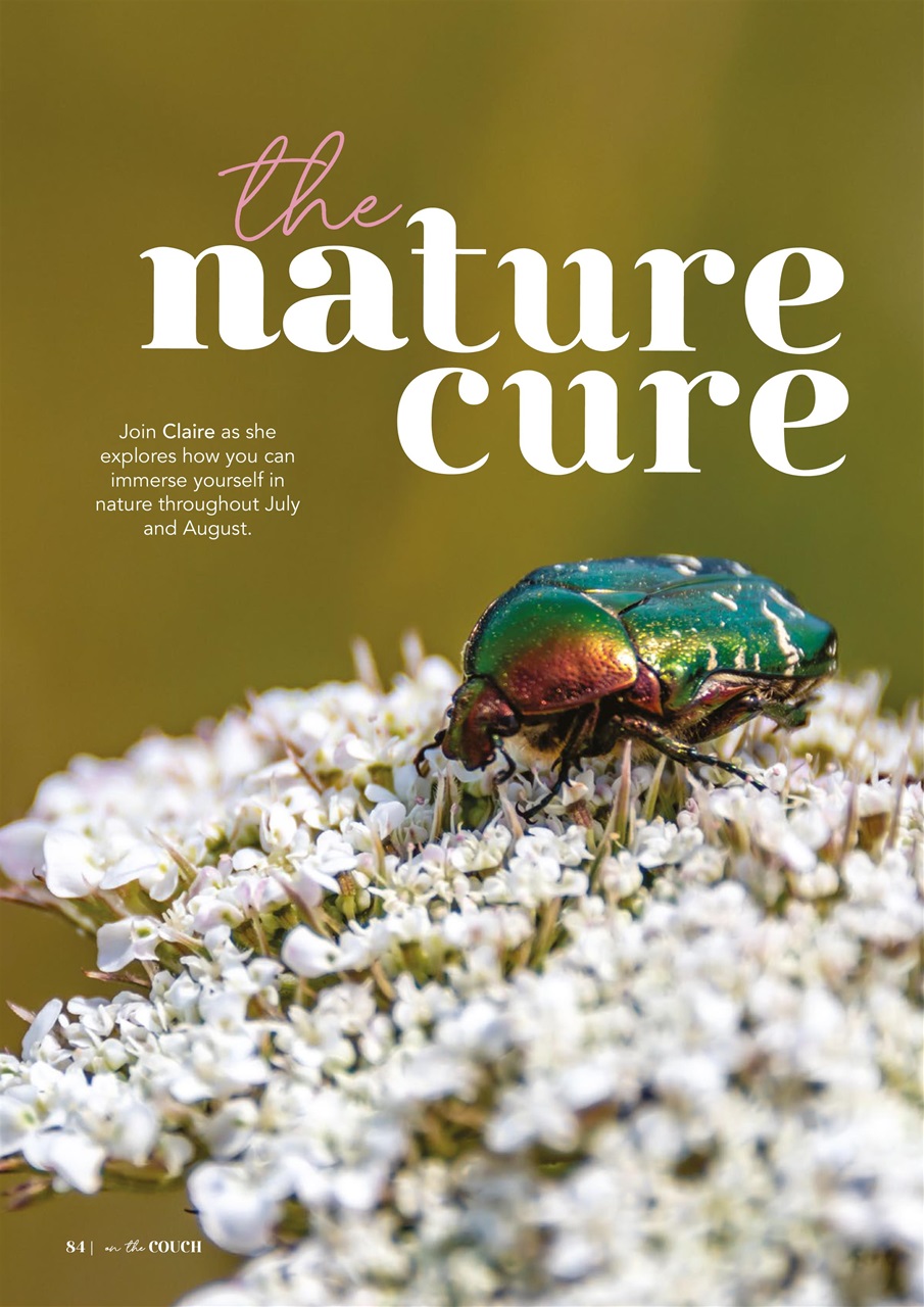 On the Couch Preview Pages