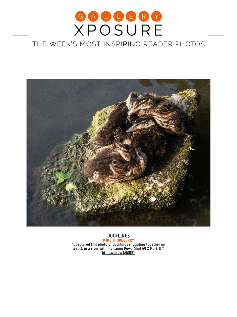 Photography Week Preview Pages