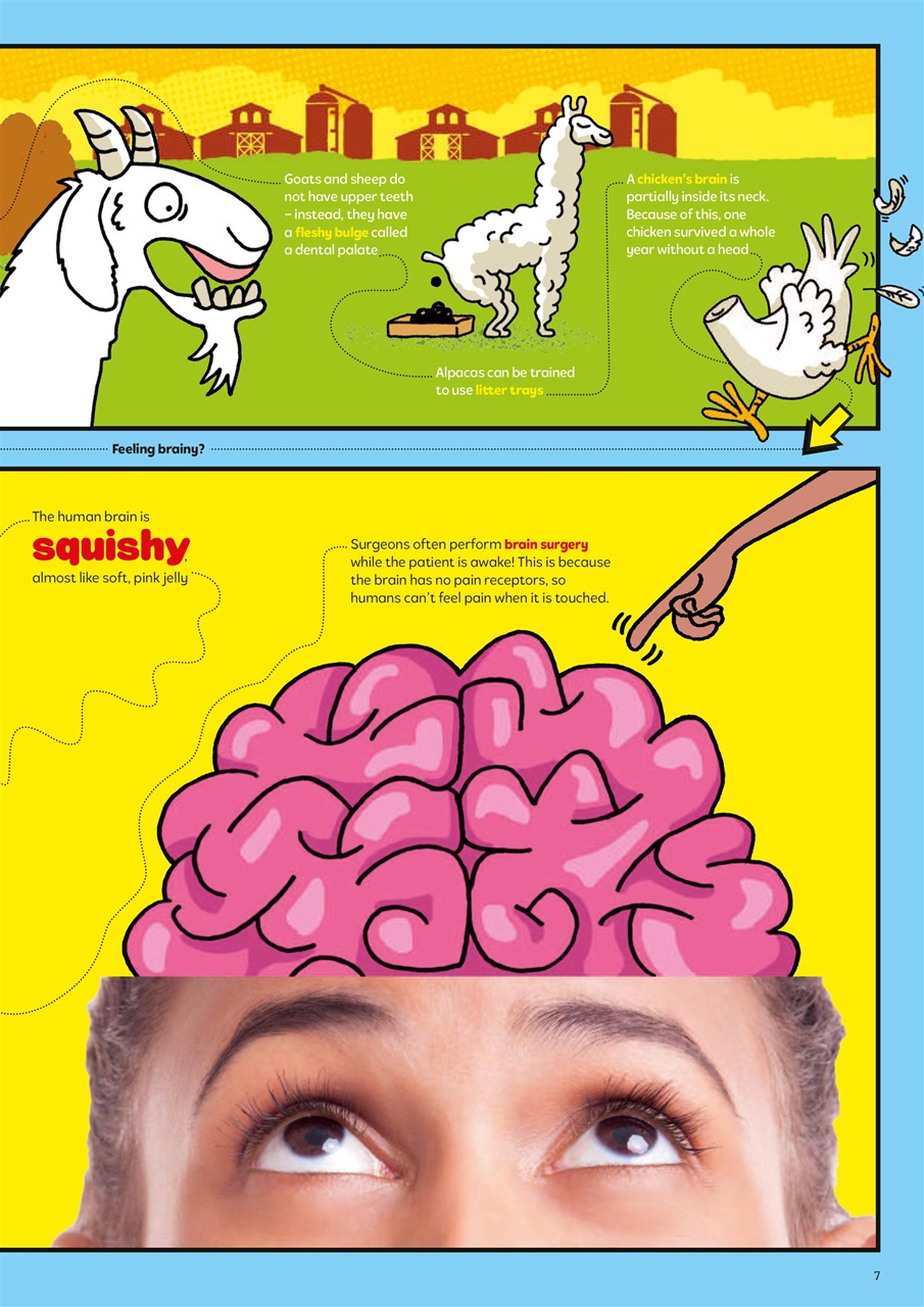 What on Earth! Magazine Preview Pages