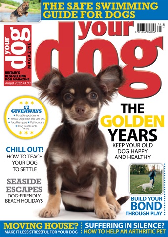 Your Dog issue Your Dog Magazine August 2022