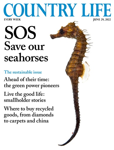 Country Life issue 