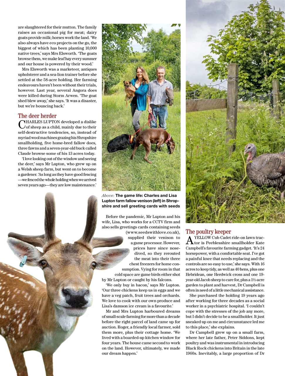 Country Life Preview Pages