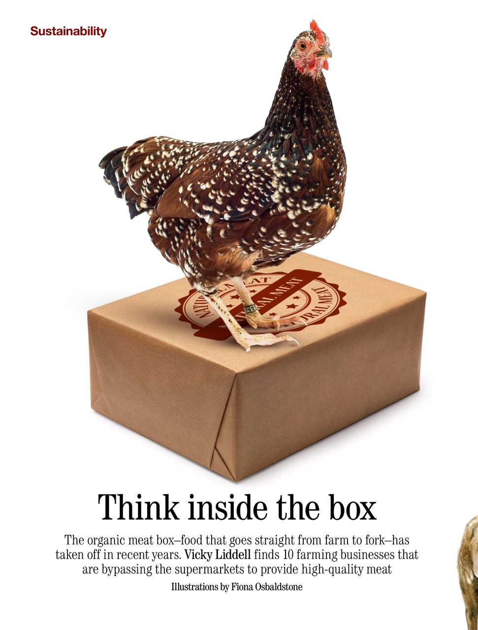 Country Life Preview Pages