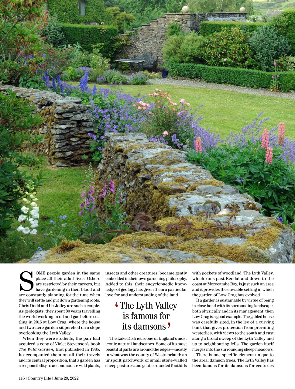 Country Life Preview Pages